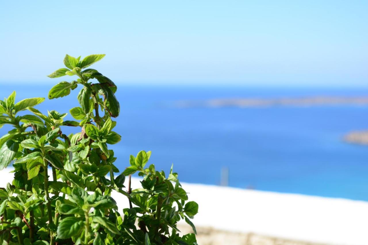 Anemolia Villa Lakki  ภายนอก รูปภาพ